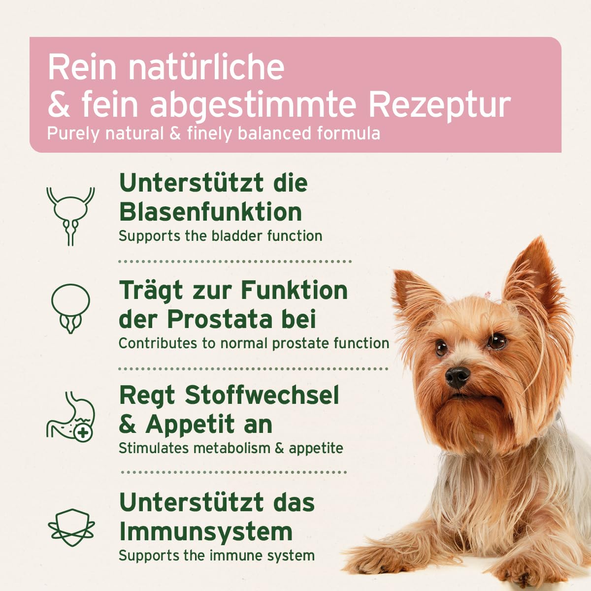AniForte Blasen-Formel für Hunde 100 g - Weniger Gassi gehen, Unterstützt die Blasenfunktion bei Blasenschwäche, Inkontinez, Harnverlust & Urinverlust