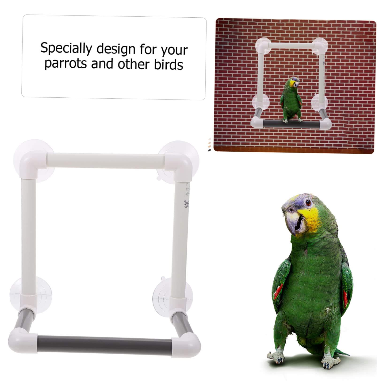 BESPORTBLE Large Bird Shower Perch Suction Cup Parrot Bath Toy Stand for Parakeets Cockatiels and Conures for Indoor Use and Bathing - image 4