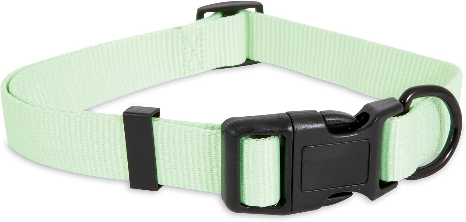 glow in the dark collar