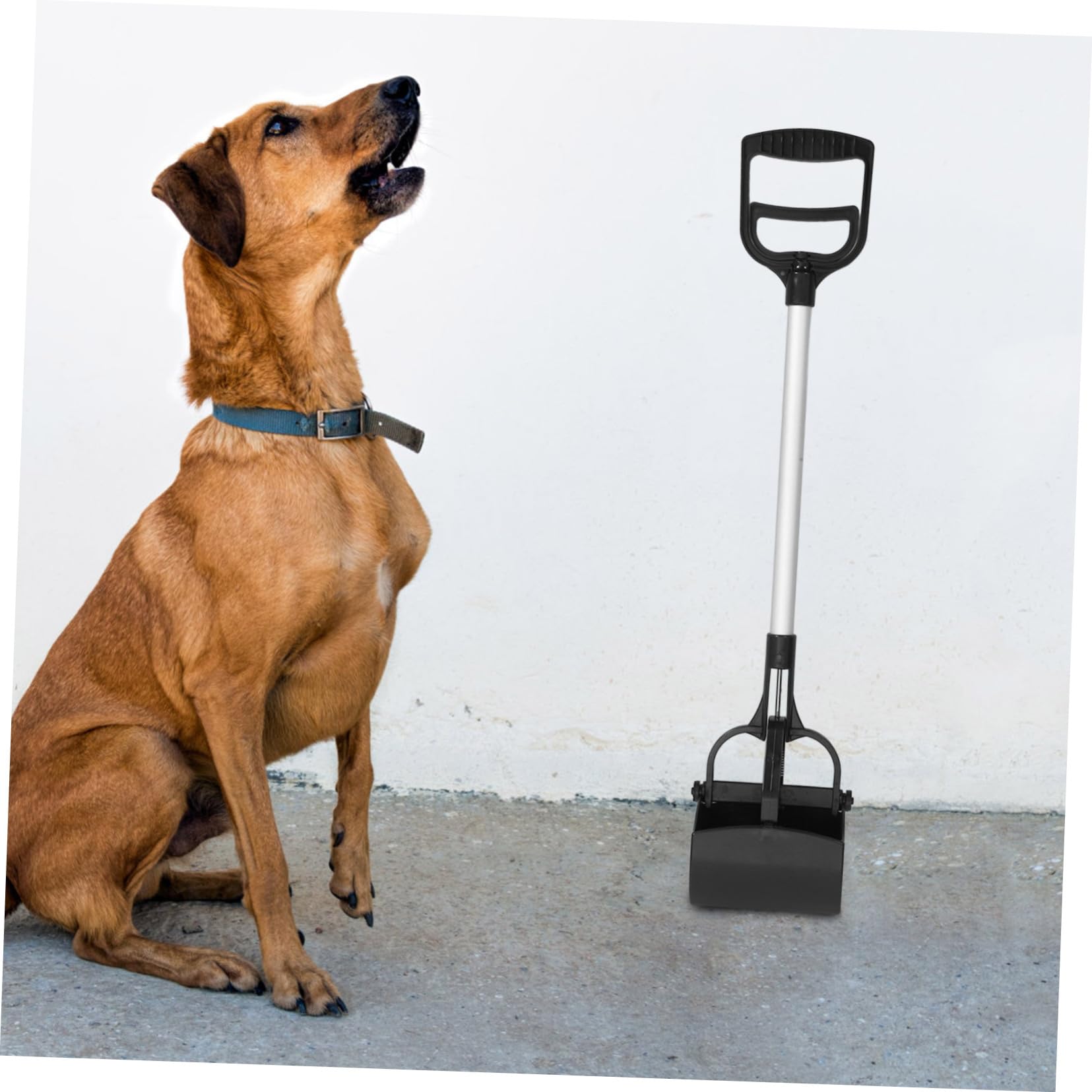 Ramasse-crottes D’animaux Long Manche 1pc en Plastique pour Extérieur