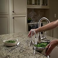 Vista 2 de Insinkerator Transcape View – Despachador de agua caliente instantánea, H-ViewC-SS, 115 volts