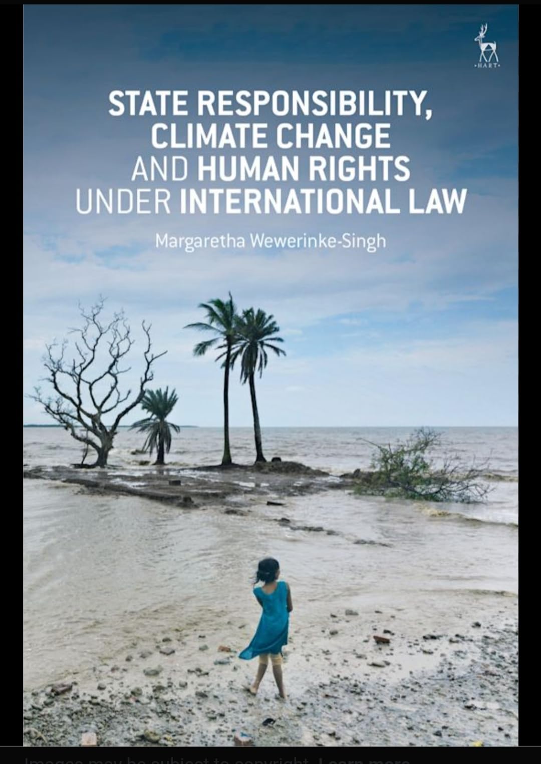 Buy State responsibility climate change and human rights under International law — BookShops.in
