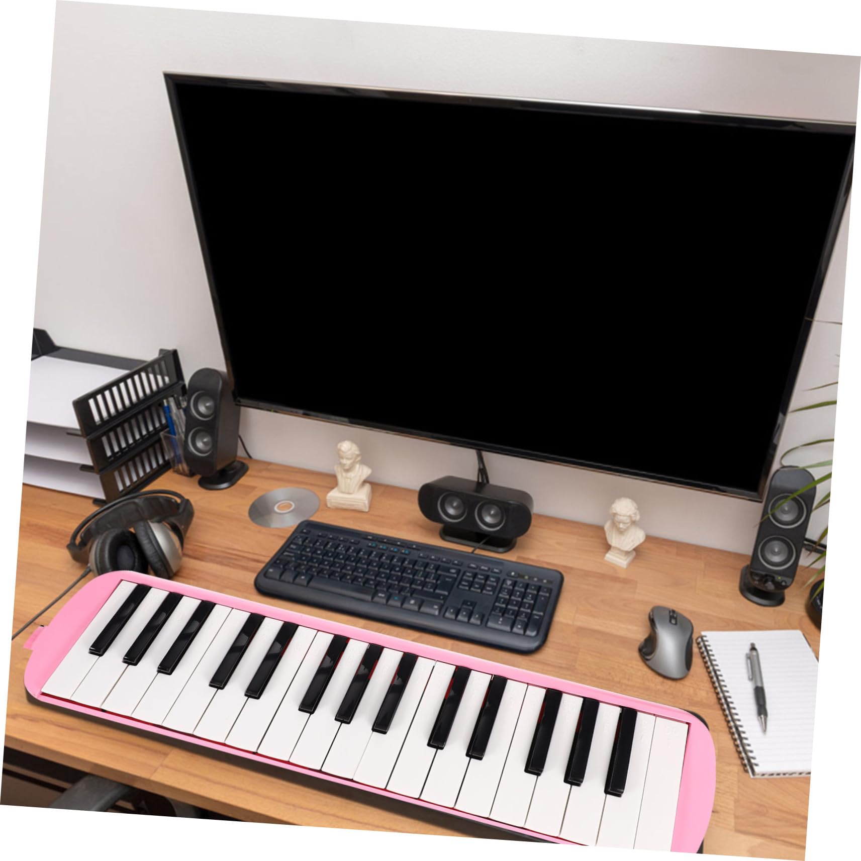 Melodica 32 Tasti per Principianti, Bambini e Adulti Rosa | Armonica a Bocca Bocchini Lunghi e Corti, Abs Plastico e Nylon, per Bambini a Natale e Compleanno