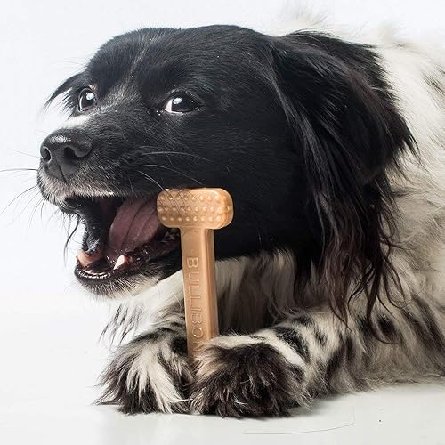 Miniatura 6 de Bullibone Hueso de juguete de nailon para masticar para perros, mejora la higiene dental, parte inferior fácil de agarrar e impregnado de sabor