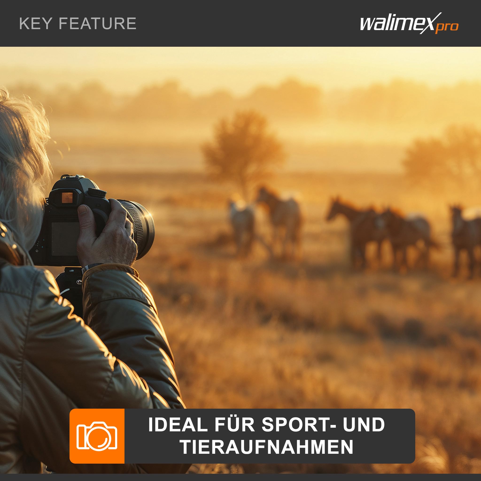 Walimex FT-1502 Pro Einbeinstativ 177 cm, robustes Fotostativ aus Aluminium, Kamerastativ mit 10 kg Traglast, Stativ für DSLR, DSLM und Kompaktkameras, inkl. Transporttasche