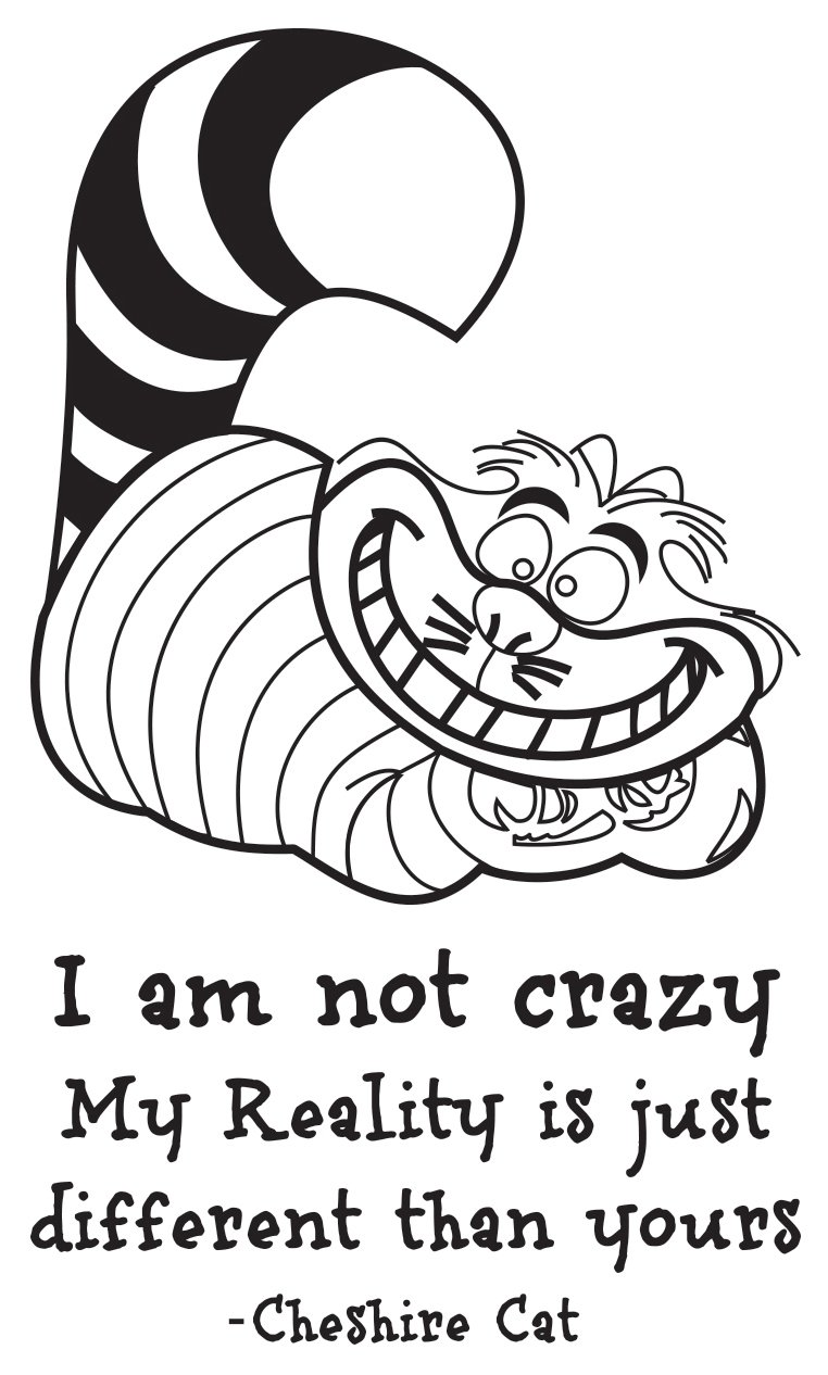 Buy Wallskin Vinyl The Crazy Cat Wall Sticker (36 cm x 61 cm, Black