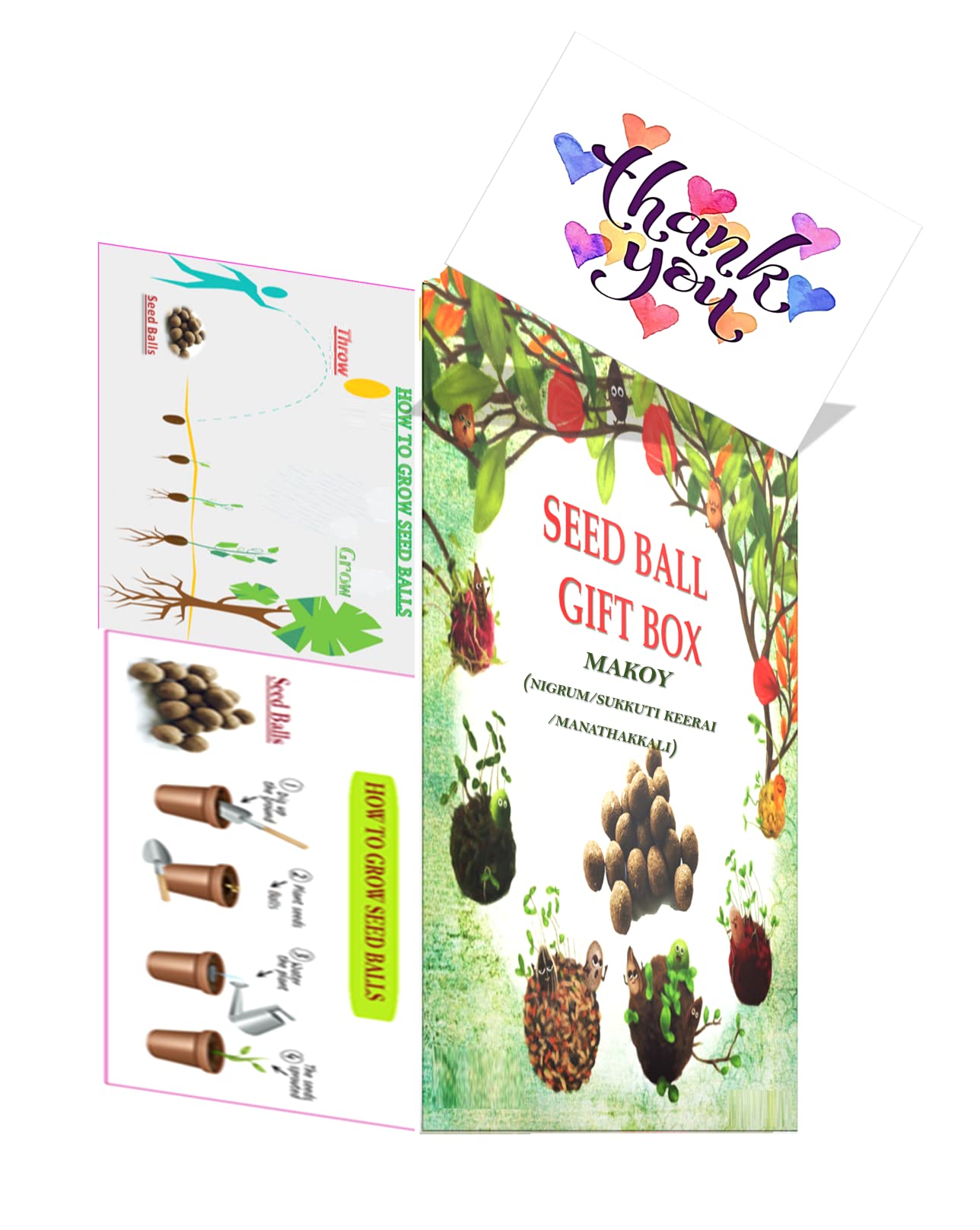 Easy Grow Seedballs-Growable Seed Balls Of Makoy(Nigrum/Sukkuti Keerai/Manathakkali) (1 Gift Box Pack Of 10 Seed Balls) With Red And Green Amaranthus Seeds-picture-12