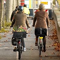 Vista 6 de Cesta trasera para bicicleta, cesta plegable para bicicleta con bolsillo de malla, cubierta impermeable, tira reflectante para bicicletas