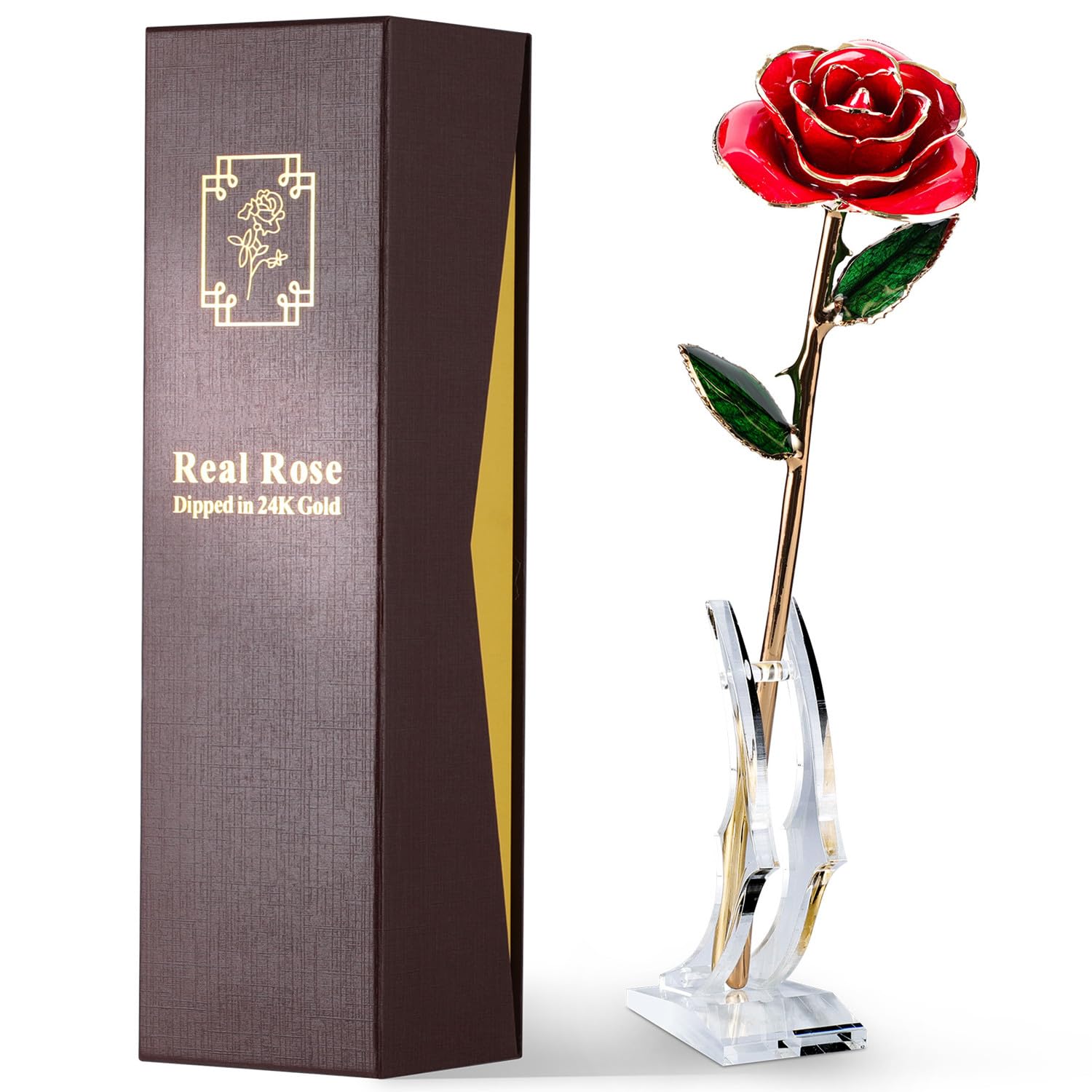 Amazon.com: ECO SPACE Gold Dipped Rose - Hand-Dipped Real 24K Gold