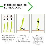 Ver la foto 2