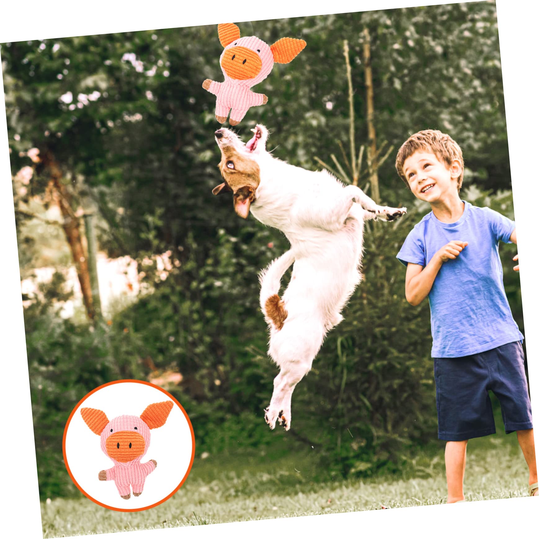Kisangel 5stücke Hund Quietschspielzeug Aus Plüsch Für Hunde Und Katzen Molarspielzeug Zur Zahnpflege Für Gesunde Kiefermuskulatur Für Kleine Und Mittelgroße Haustiere