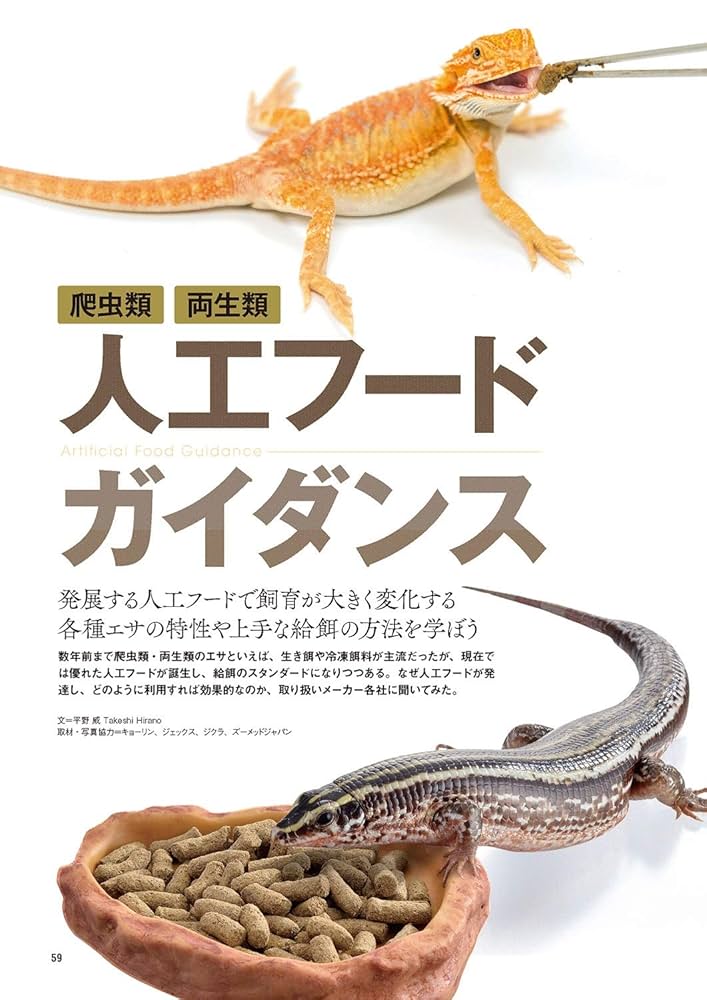 REPFAN vol 2.4-8.12 計7冊セット まとめ売り レプファン REPFAN vol 2.4-8.12 計7冊セット まとめ売り レプファン REPFAN