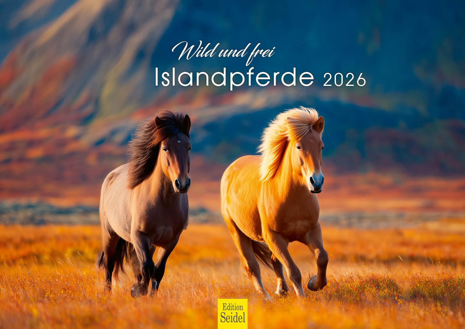 Edition Seidel Premium Kalender Wild und frei Islandpferde 2026 Format DIN A3 Wandkalender Pferdekalender Isländer Island Tiere Pony Stute Hengst Fohlen