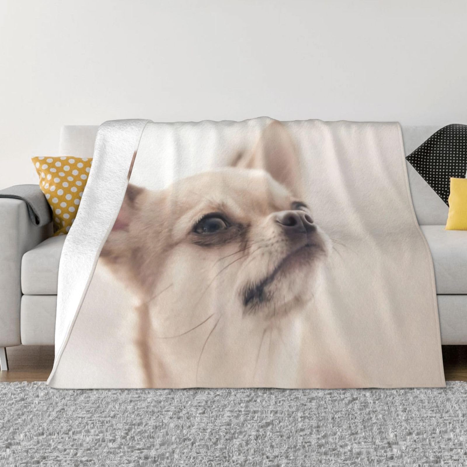 Couverture flanelle chihuahua jeté de lit doux toutes saisons