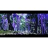 Product Photo 8