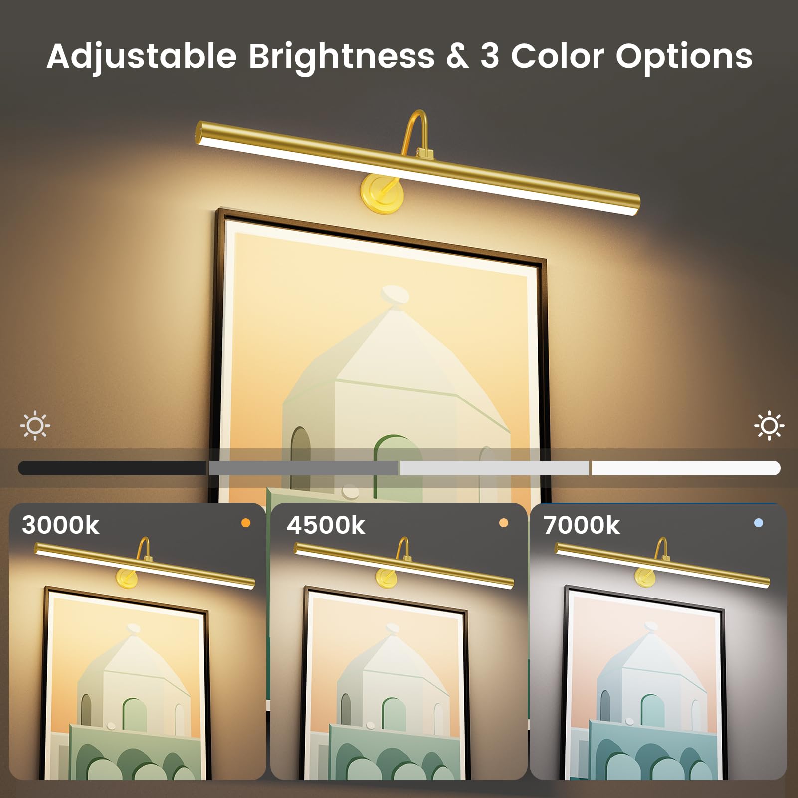 Bridika Picture Lights for Wall Battery Operated, 23.6in Picture Light with Remote, 3 Color Modes and Dimmable Classic Art Light for Paintings, Gallery, Dartboard, Bathroom with Timer (Gold, 1 Pack)