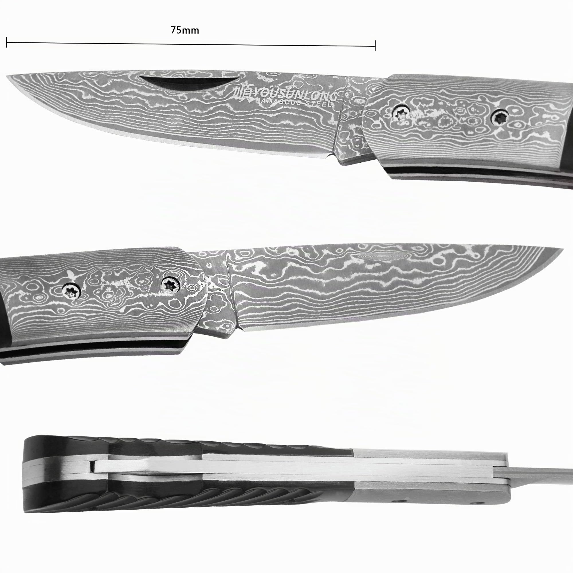 YOUSUNLONG Coltello Tascabile 175 mm - Lama in Acciaio Giapponese Damasco - Coltello Pieghevole Adatto al Campeggio e alla Caccia - Manico in Corno di Bufalo Naturale con Fodero in Pelle