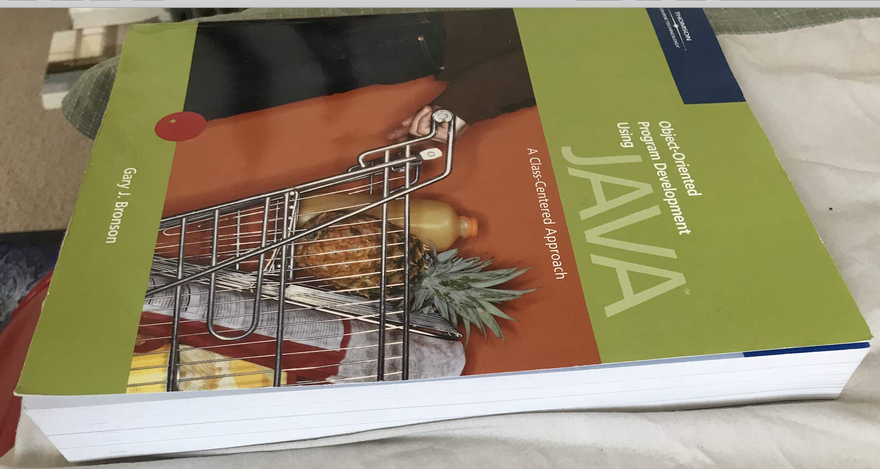 Object-Oriented Program Development Using Java: A Class Centered Approach (with CD-ROM)