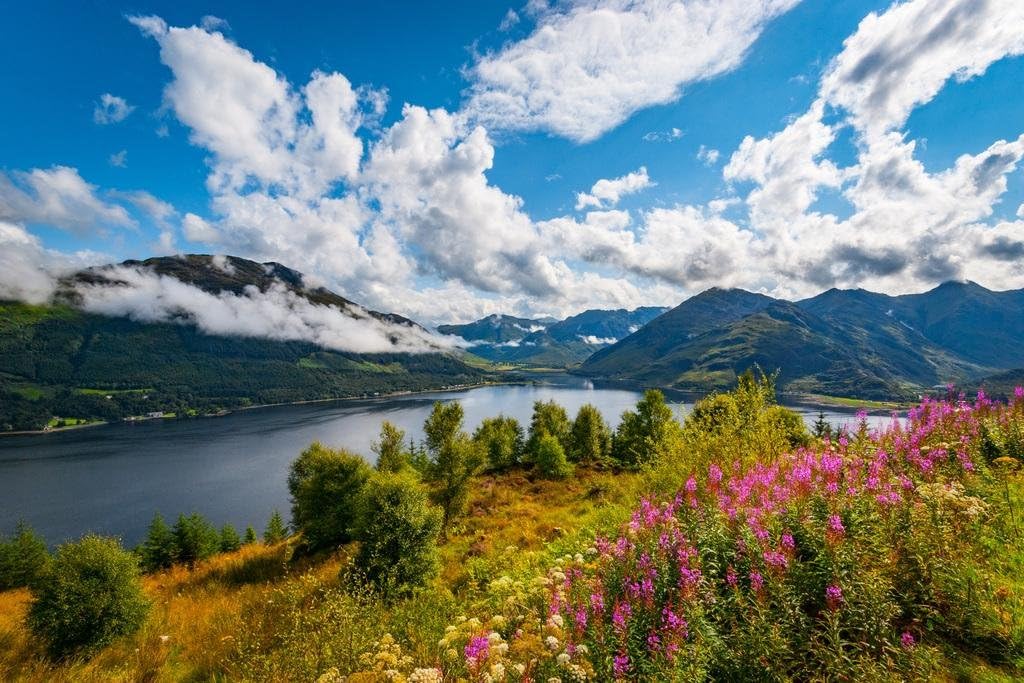 Laminated Sunrise Loch Duich Scotland Lake Summer Landscape Photo Beach Castle Sunset Pictures Ocean Scenic Scenery Nature Photography Paradise Scenes Poster Dry Erase Wall Art 36x24