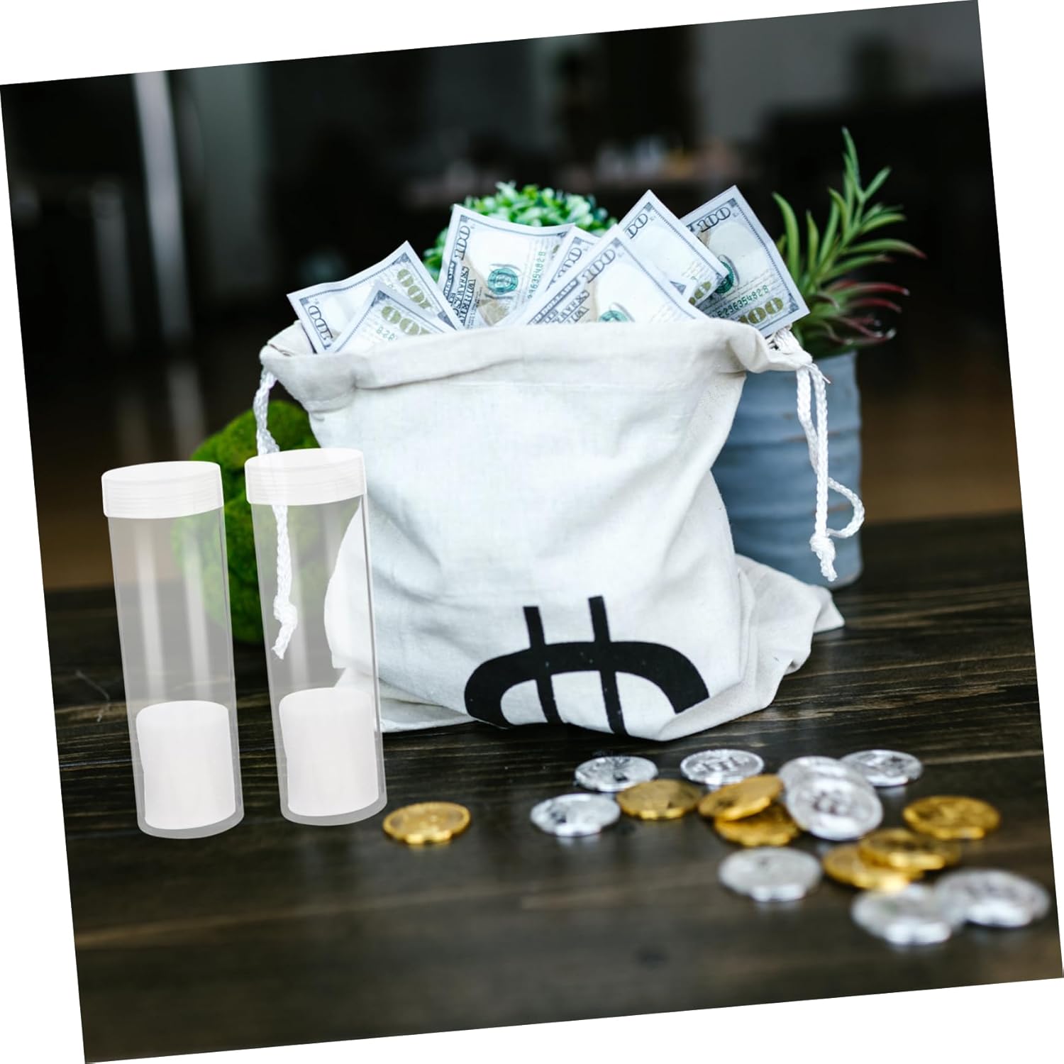 Homoyoyo 50pcs Tubes for Quarter Storage Transparent Holders Soft Protectors Organizers for Collectors and Everyday Use