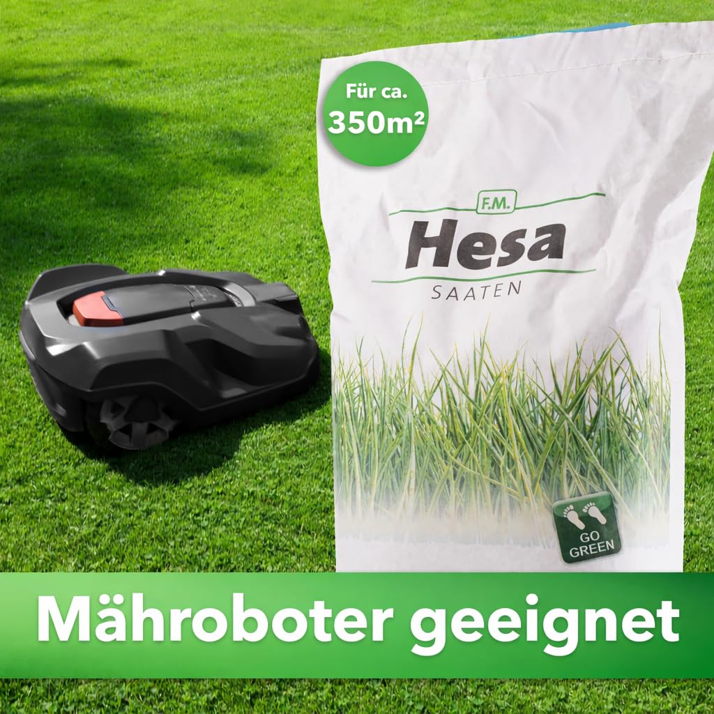 Hesa RSM 3.2 - Semences de gazon à germination rapide de qualité professionnelle - 10 kg pour 350 m²