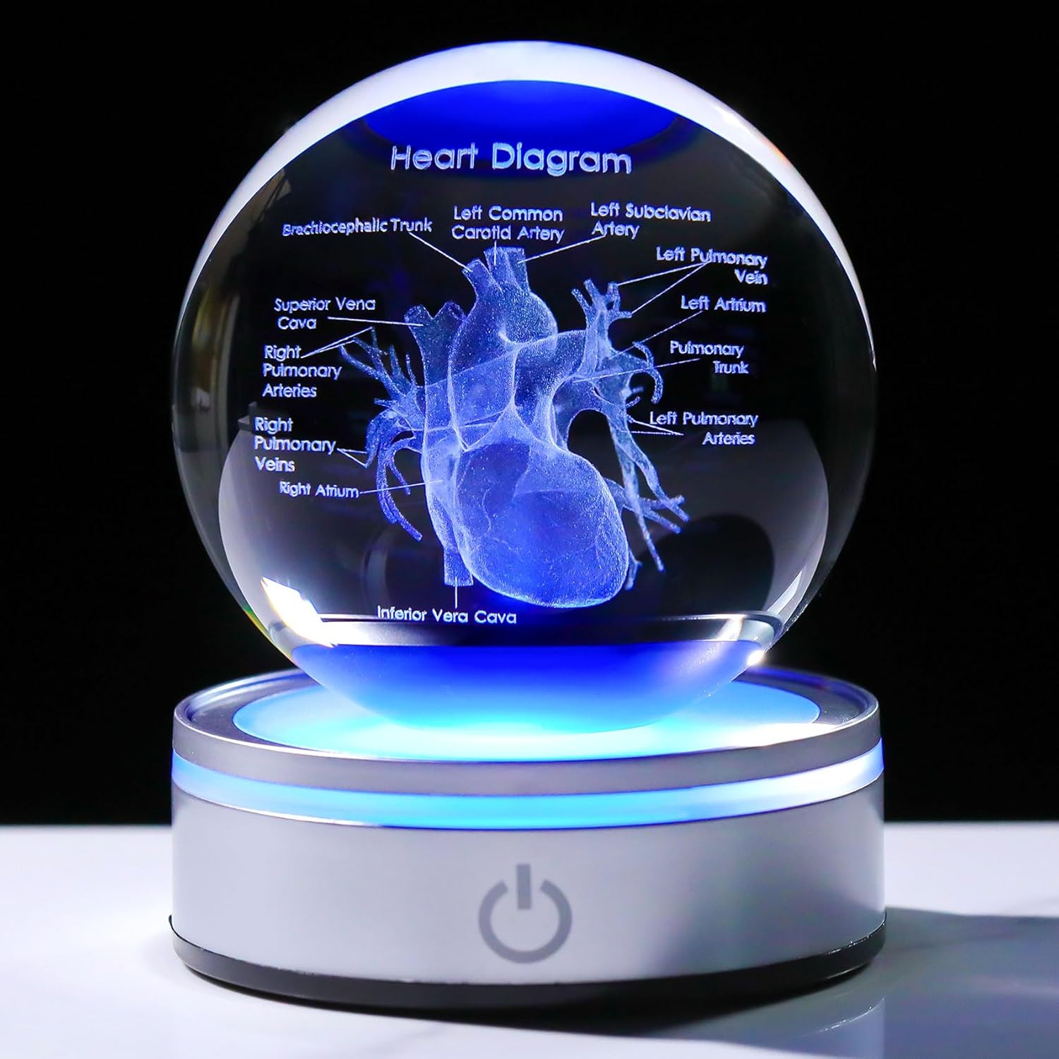 Enjinkail 3D Heart Model Crystal Ball Doctors Gift, Cardiologist Gift for Men and Women with Colorful LED Base, Medical Statue for Psychology Graduation, Christmas Heart Anatomy Art Decor