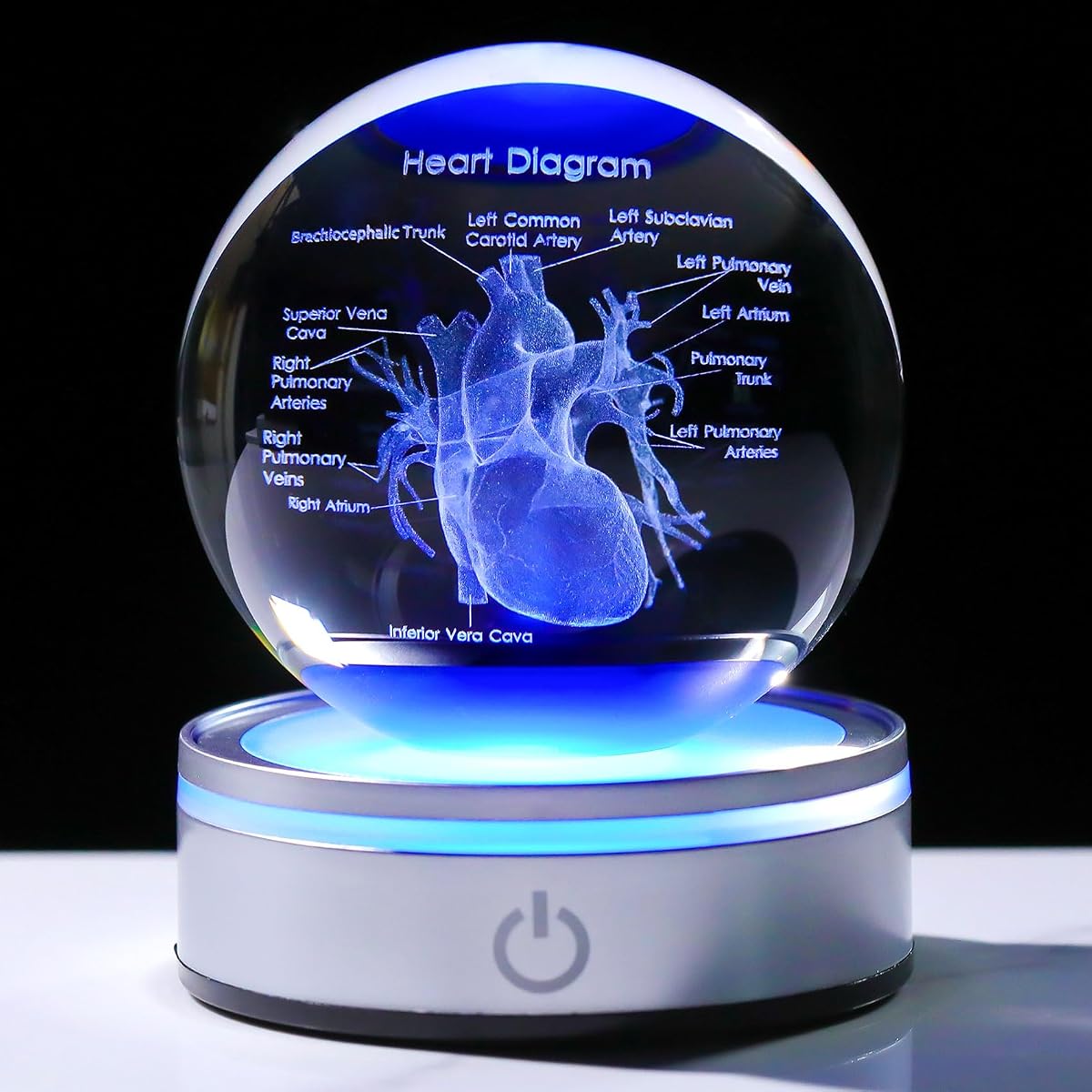 Enjinkail 3D Heart Model Crystal Ball - Medical Statue, LED Base, Tabletop