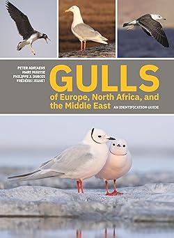 Gulls of Europe, North Africa, and the Middle East: An Identification Guide