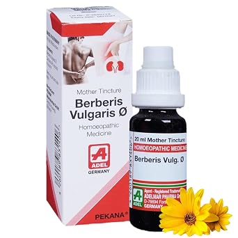 215 Adel_German Berberis Vulgaris Mother Tincture Q 20ml - Set of 1 Bottle