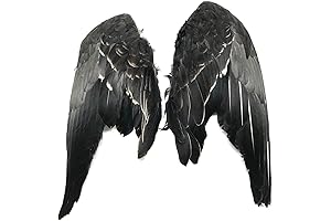 Avian Elegance: Complete Grey Goose Wings (Matching Pair)