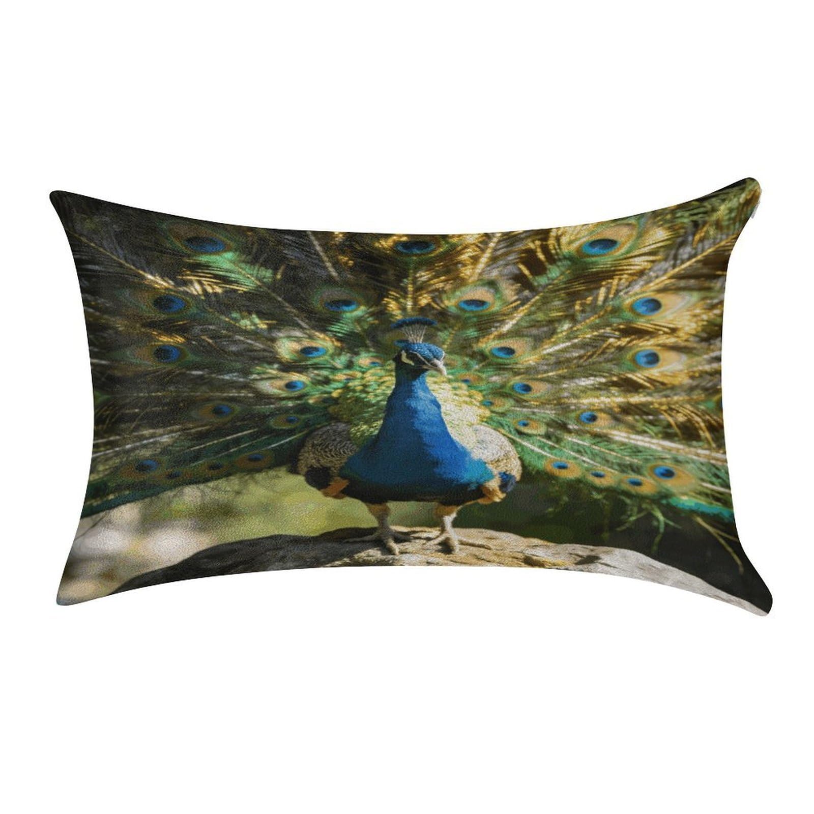 Fodpand Style Beautiful Peacock With Colorful Feathers Pillowcase,Elegant Designed Home Decor,Velvet Pillowcase,Soft And Cozy,Pillow Case Cover With Hidden Zipper For Bedroom, Sofa, Couch