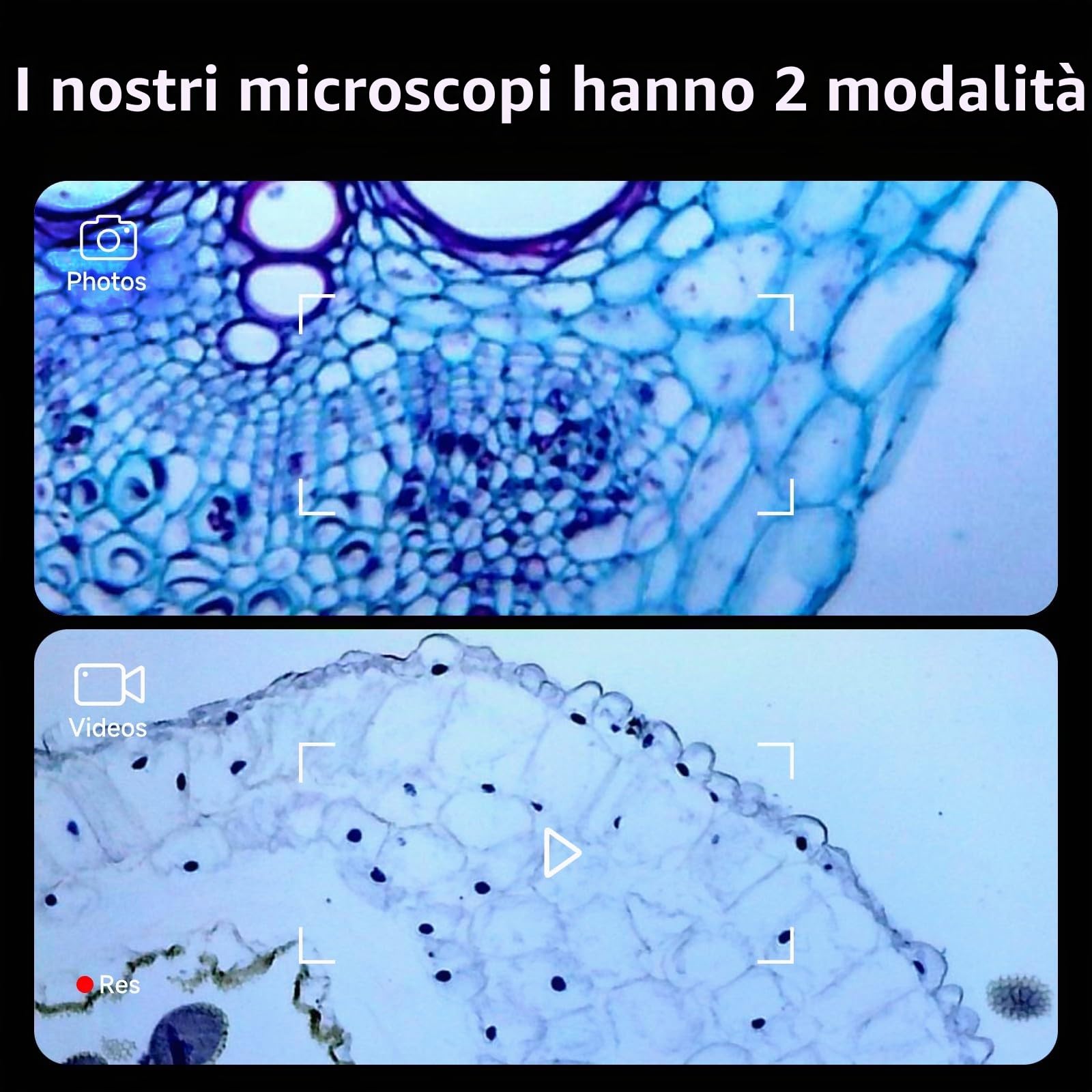 Beaverlab, microscopio digitale miniscopio con schermo IPS da 4 pollici, ingrandimento 1600x, video HD 1080p, microscopio a moneta WiFi USB per adulti, 8 luci LED regolabili, compatibile con PC View