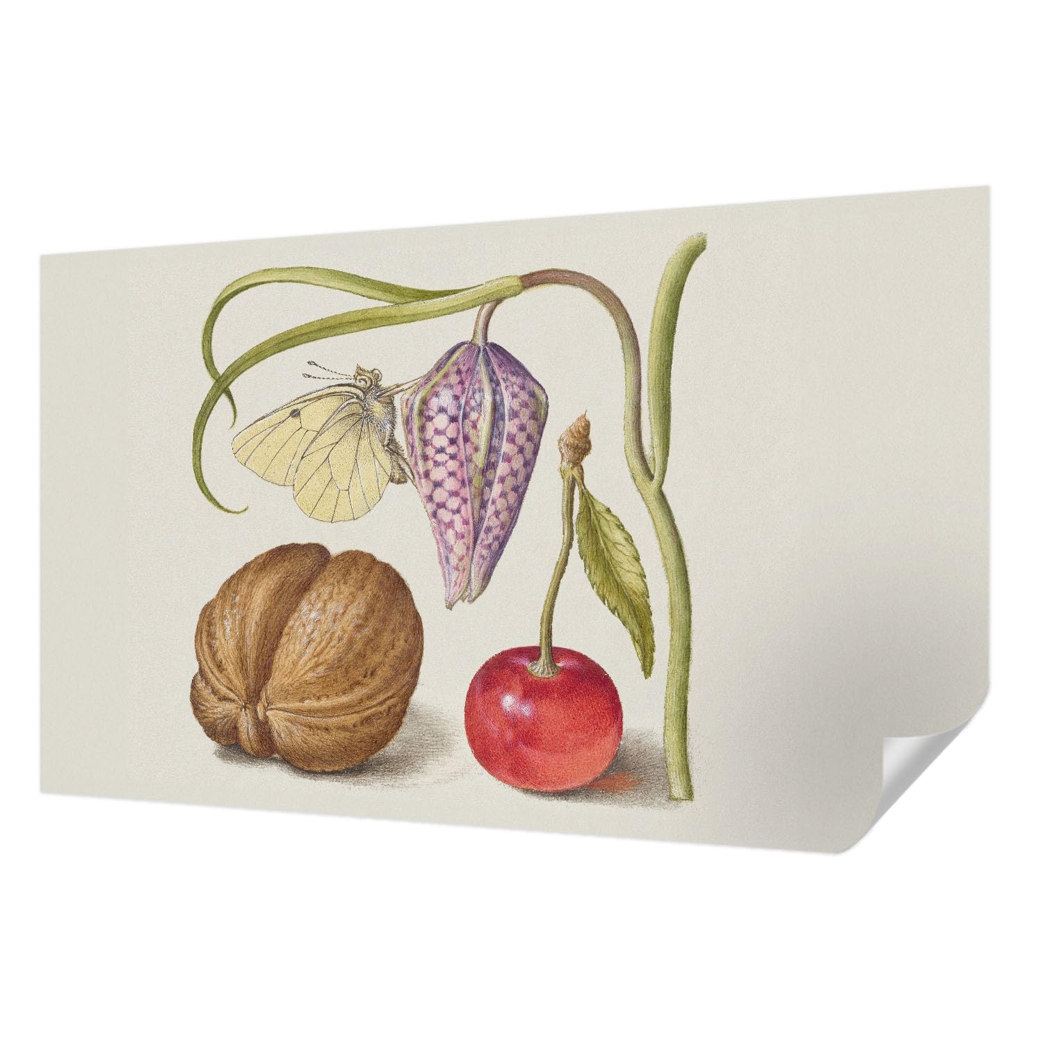 Papier Peint Auto-Adhésif pour Chambre et Salon Tulup Fresque Végétale 416x254