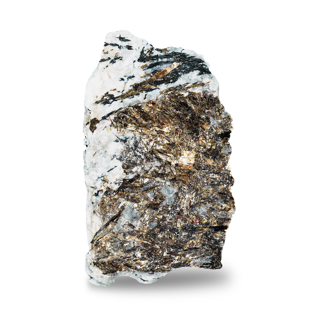 Starborn RARE Rough Collector's Stones