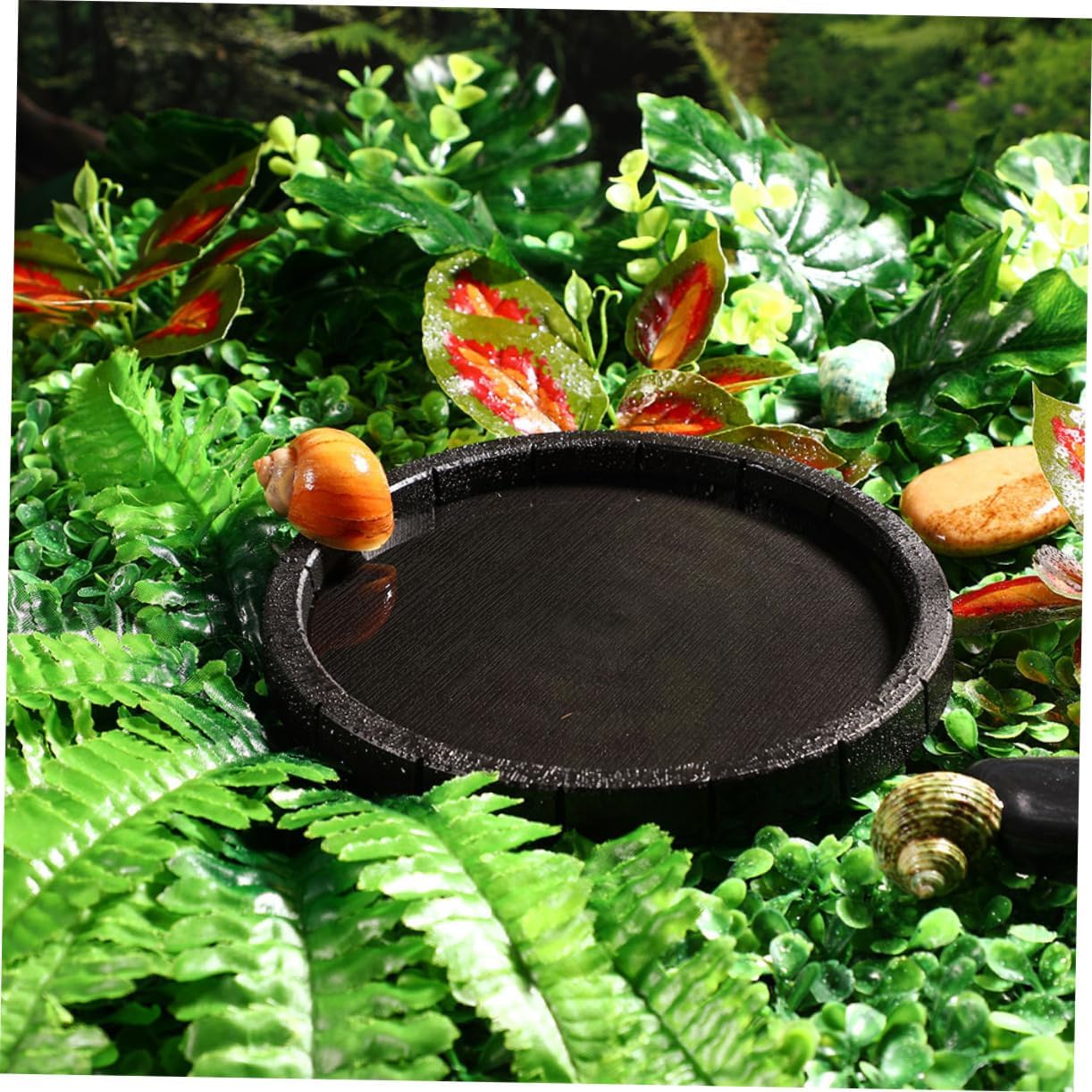 Yardwe Reptile Water Dish Feeding Bowl for Tortoises Lizards Frogs and Geckos Non Slip Design Easy to Clean for Terrarium Habitat Use
