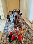Review Image by A mom