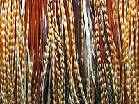 Algopix Similar Product 2 - 50 Pieces  Unique Ginger Thin Long