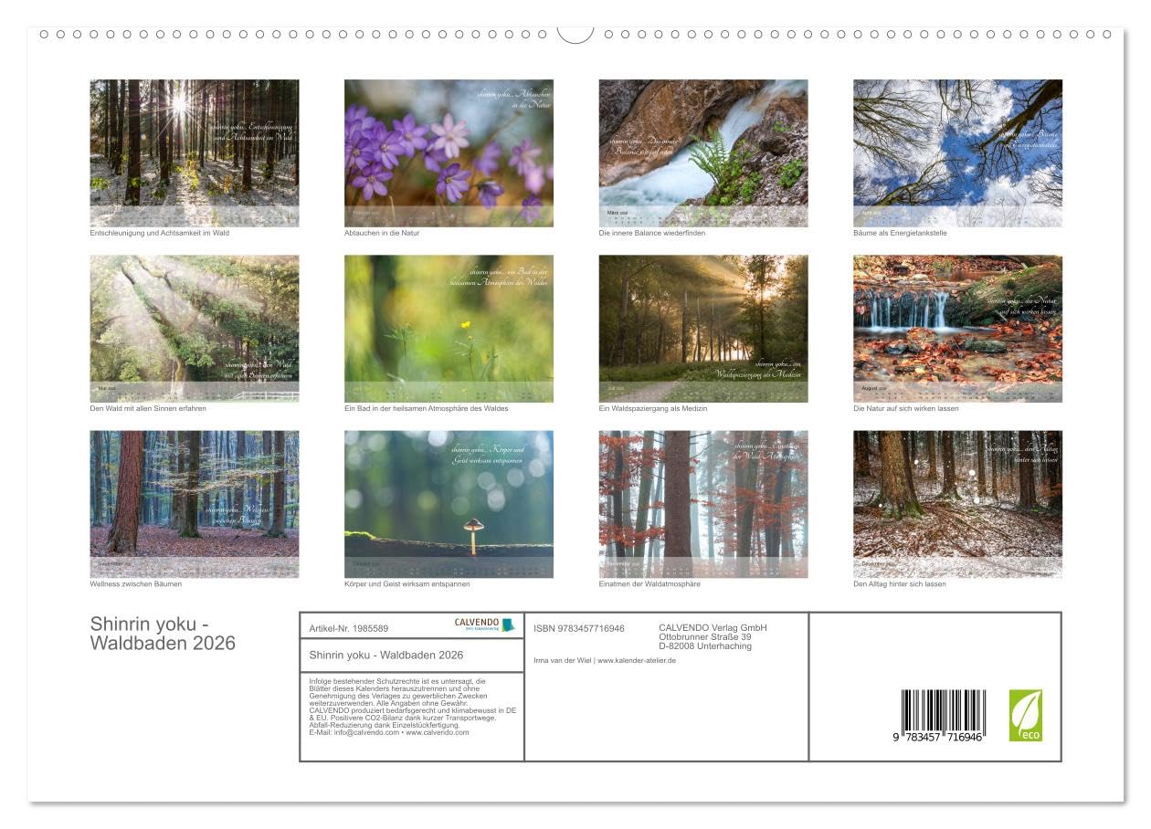 Shinrin yoku - Waldbaden 2026 (hochwertiger Premium Wandkalender 2026 DIN A2 quer), Kunstdruck in Hochglanz: Zwölf einladende Fotografien inspirieren ... abzutauchen (CALVENDO Gesundheit)