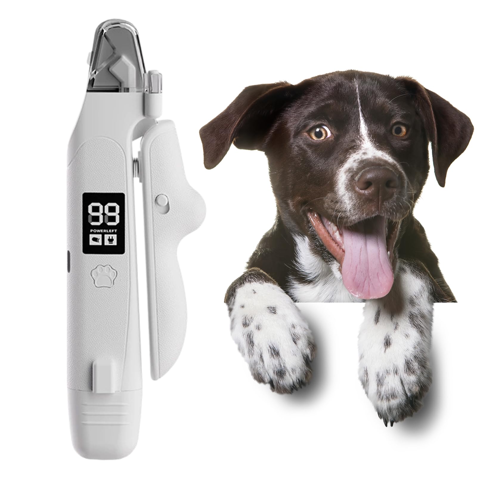 Coupe-ongles pour chien avec lumière tondeuse coupe-ongles pour animaux