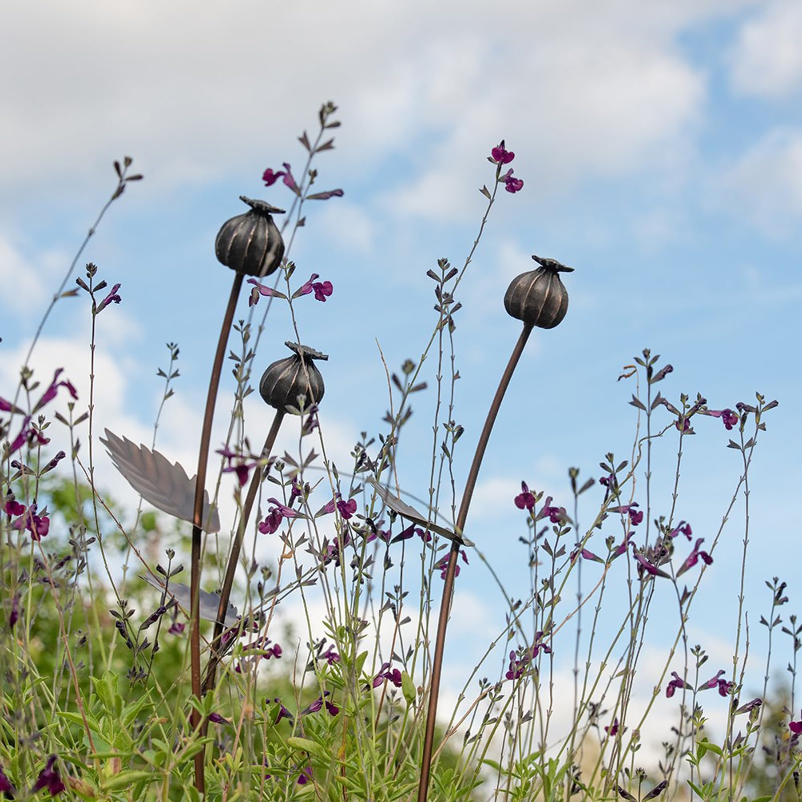 Crocus Collection 80cm Stake Small Poppy Seed Head Bulb Marker and Decorative Garden Antique Pewter