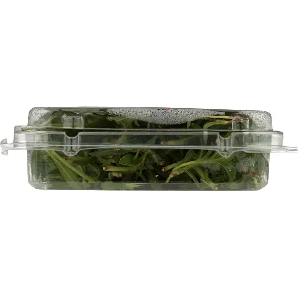 Herb Savory Organic, 19 Gram 7