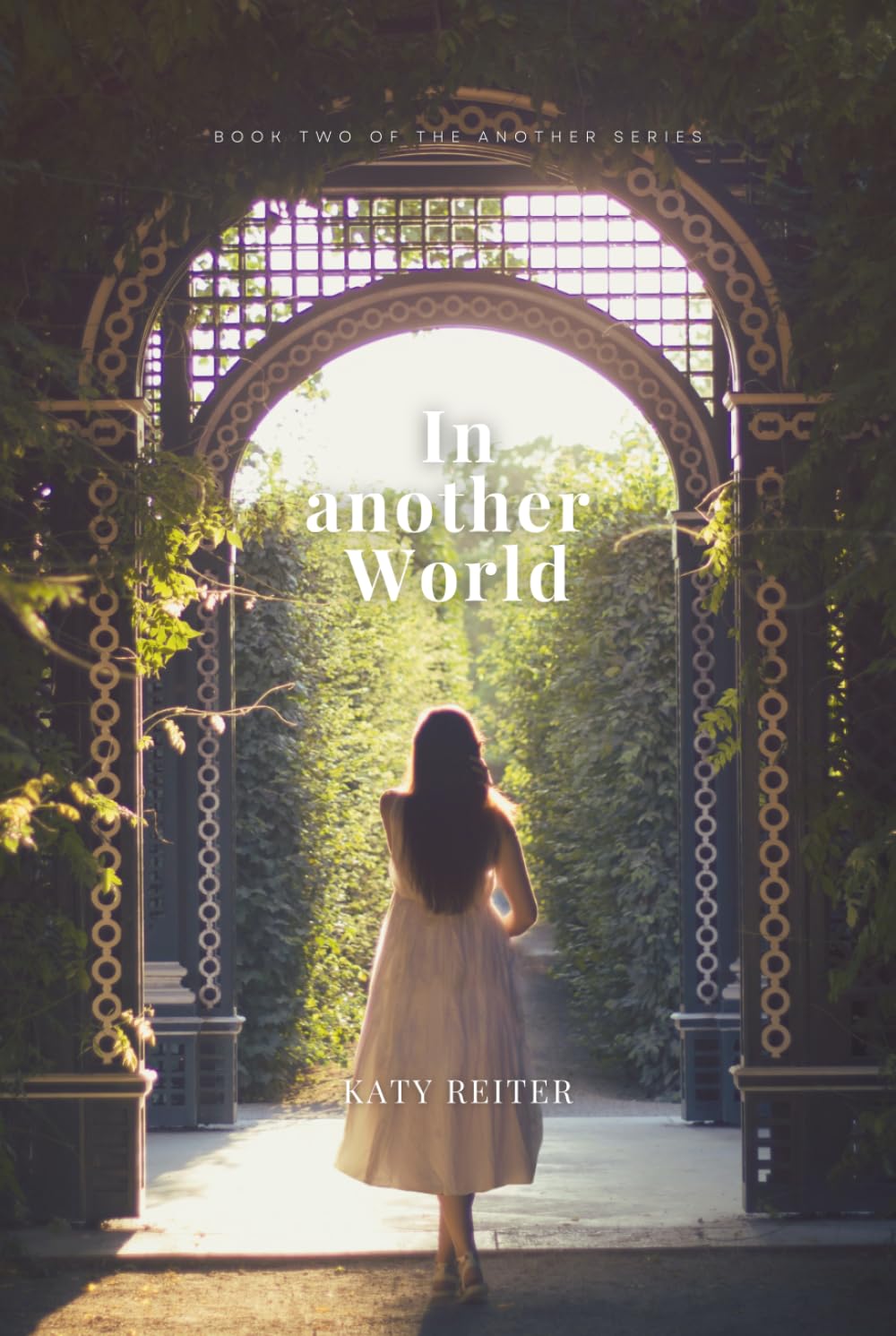 In another world: Another Series Book Two