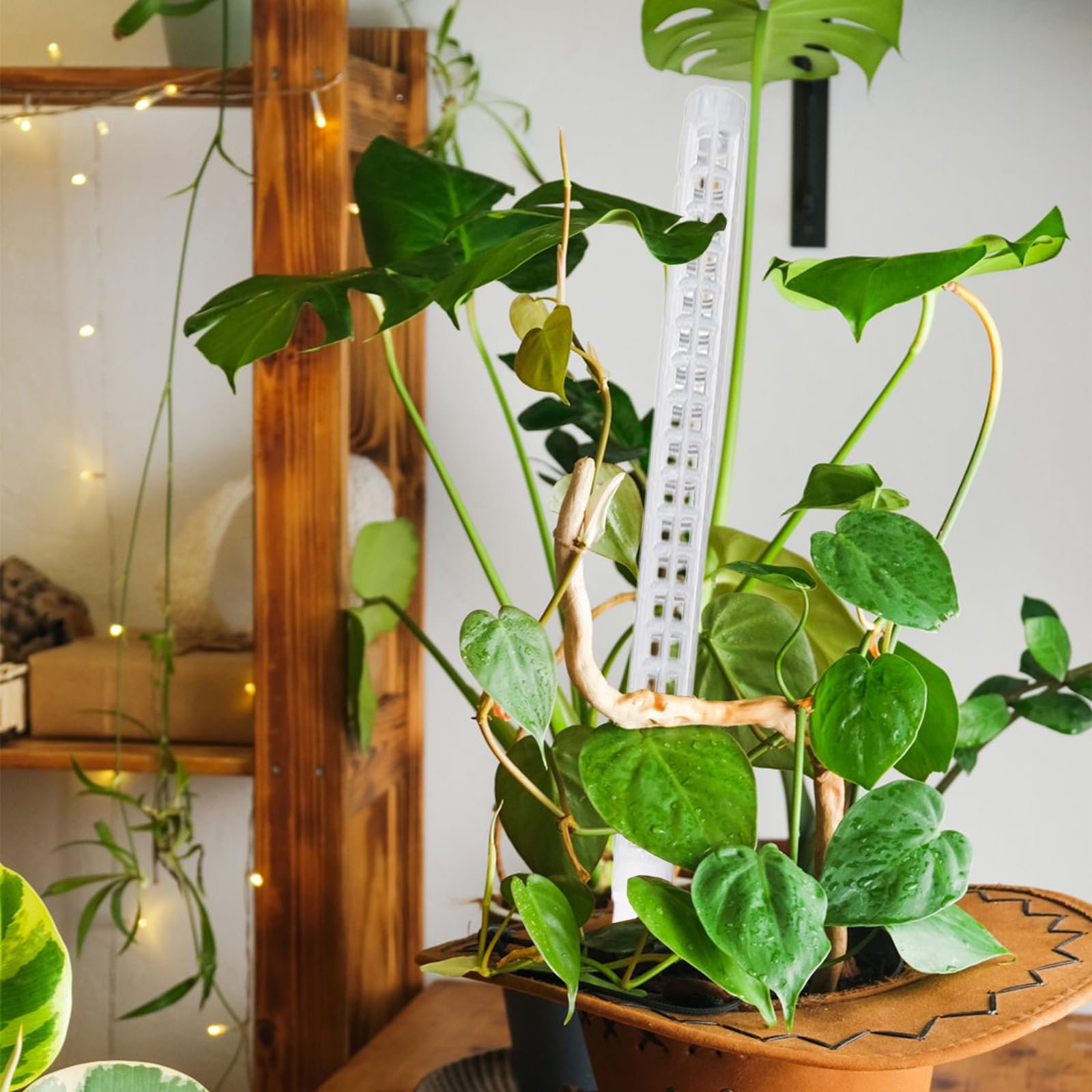 Moosstangen 64 Cm Stapelbare Stange | Mesh-Design Indoor Pflanzenstäbe Für Tomatenranken Und Kletterpflanzen In Garten, , Pflanzkübel