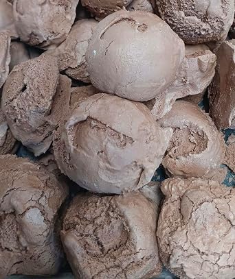 Chocolate Ice Cream Scoops