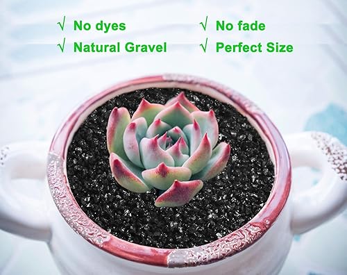 Miniatura 6 de Suculentas y cactus de arena negra, decoración y aditivos, piedras diminutas de 5 libras, grava para bonsái, jardinería de hadas, terrario, rellenos