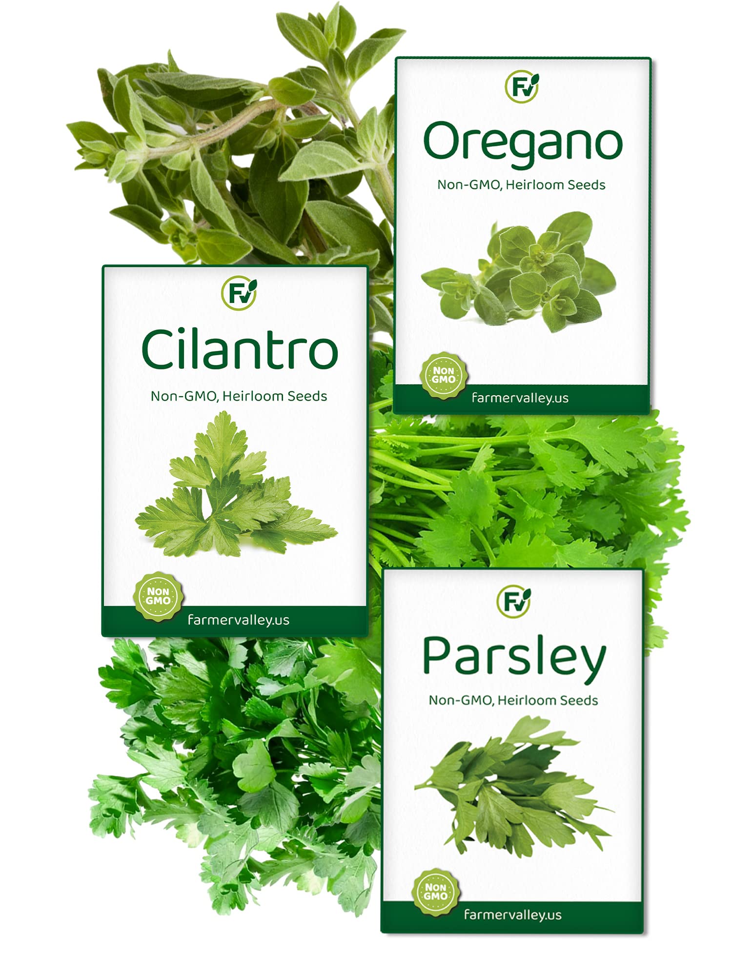 Heirloom Herb Seeds for Planting Indoors, Outdoors and Hydroponically - Culinary and Medicinal Herb Seeds - 100% Non GMO and USA Grown - Including Parsley, Cilantro and Oregano