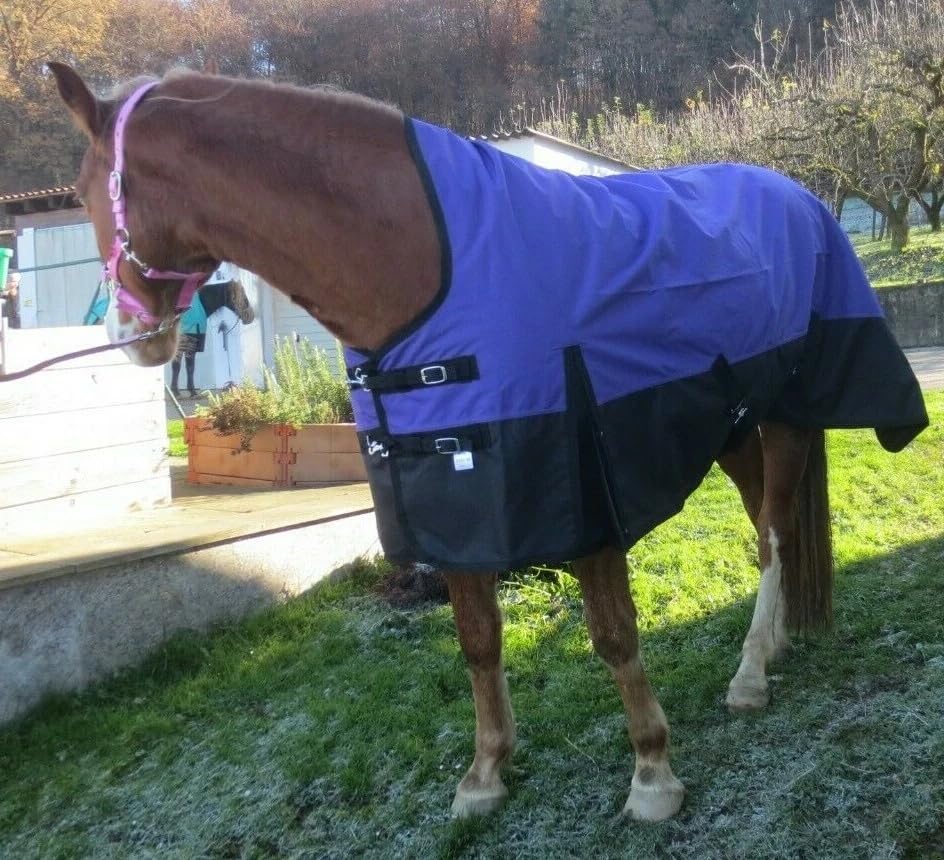 Pferdedecke Winterdecke 1200D, 200g Highneck 125, 135, 145, 155 & 165 cm Outdoordecke (Königsblau, 155 cm)