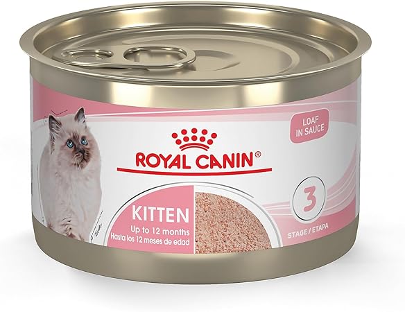 Royal Canin Feline Health Nutrition Kitten Loaf in Sauce
