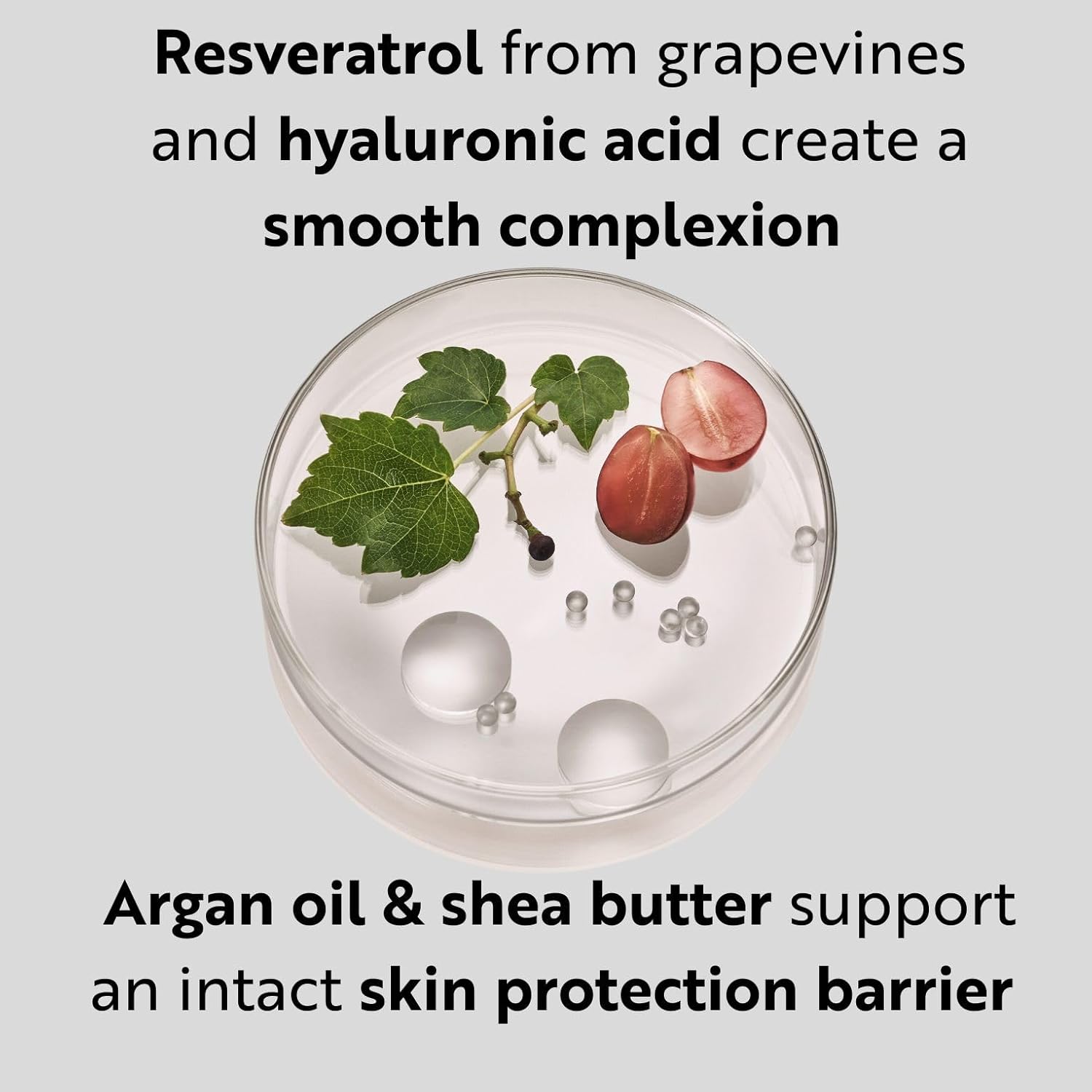 M. Asam RESVERATROL PREMIUM NT50 Lifting Cream (1.69 fl oz) – Moisturizer Face Cream with Hyaluronic Acid, Facial Moisturizer for Firm and Smooth Skin, Vegan Skincare for Youthful Radiance