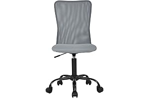 PayLessHere Office Chair: Ergonomic Armless Computer Chair
